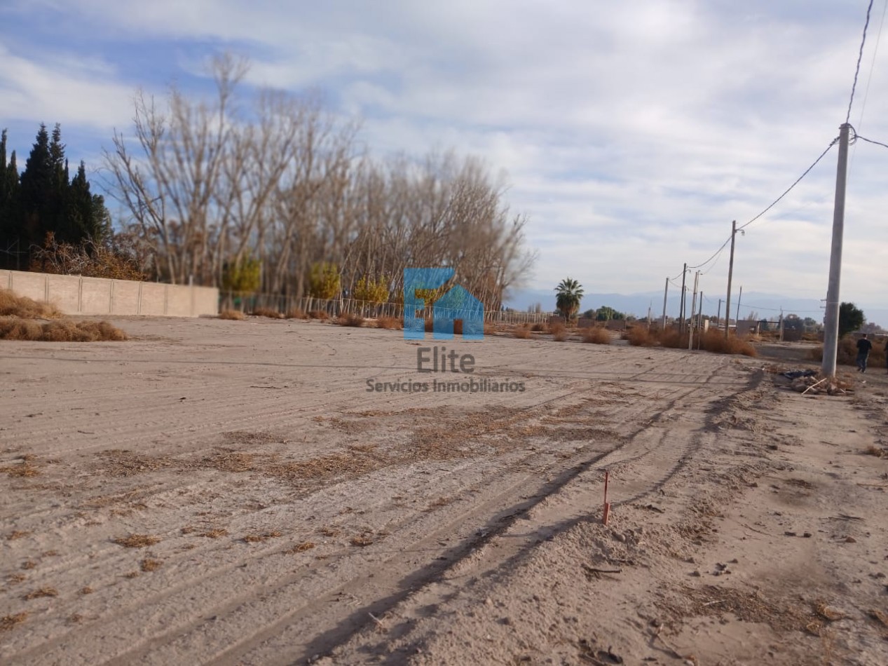 Lote 800m en el Medanito -Ubicadisimo a 10m del centro