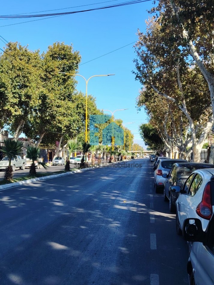 Casa 3hab, 3 Baños, 1100m De Terreno, A 1 Cuadra Plaza Santa Lucia Sobre Yrigoyen