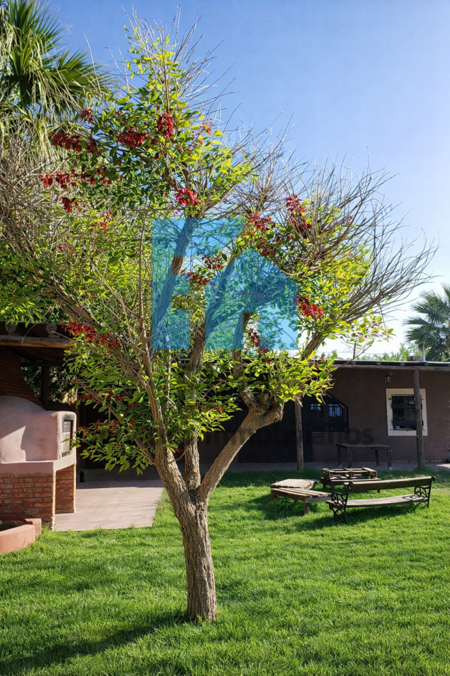 Categoria Casa Quinta En El Medano, Pileta, 4 Dormitorios, 2 Baños, Gran Galeria. 2800m² Jacuzzi