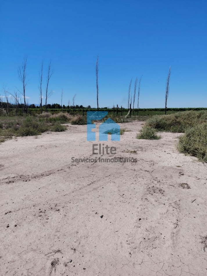 Terreno 4500m² Bo Aires De Campo - Santa Lucia - Ubicadisimo Escritura Lista