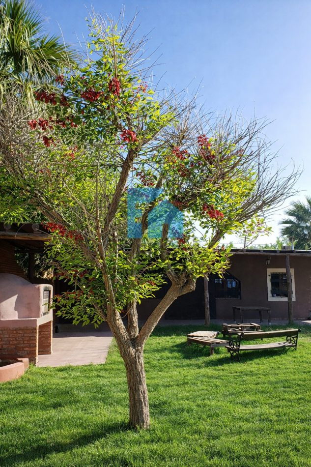 Categoria Casa Quinta En El Medano, Pileta, 4 Dormitorios, 2 Baños, Gran Galeria. 2800m² Jacuzzi