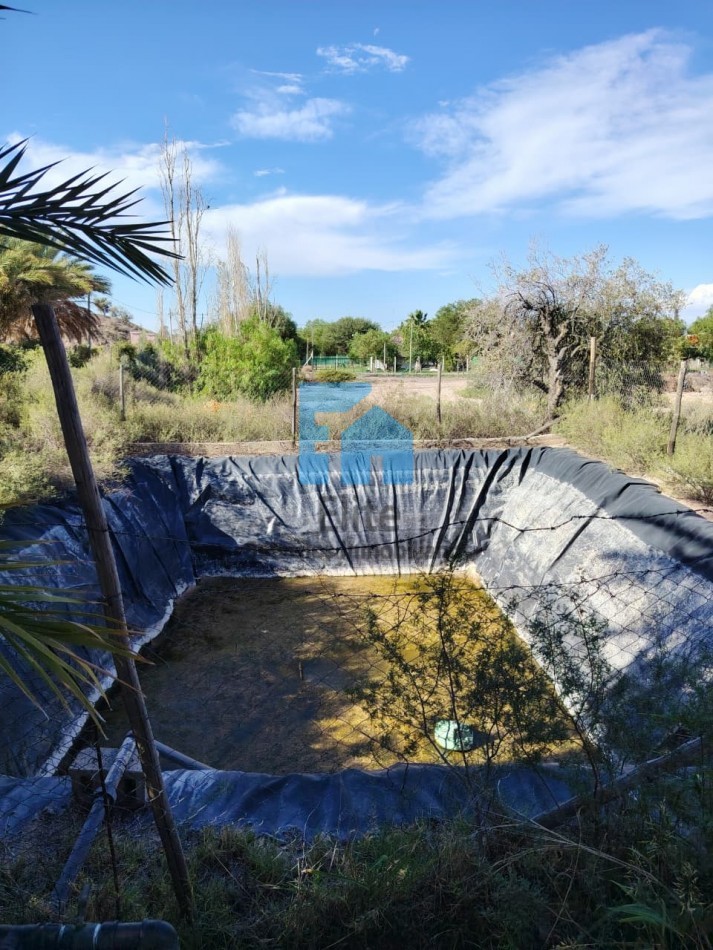 1 Hectarea Con Casa Y Galpon - Ideal Proyecto Productivo O Turistico