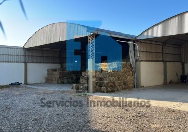 Alquiler Importante Complejo Galpones En Pocito -3000m2