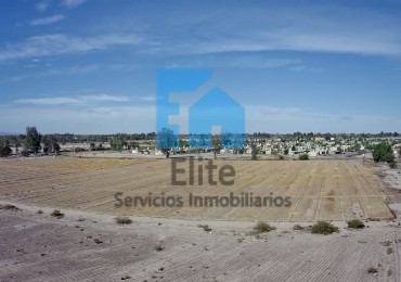 Campo De 8 Hectareas - Centenario Y Necochea -pozo 60m
